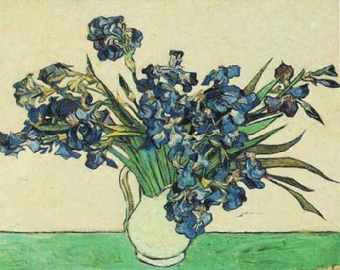Vincent Van Gogh Vase with Irises Norge oil painting art